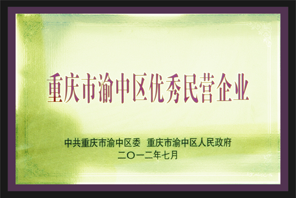 重慶市渝中區(qū)優(yōu)秀民營(yíng)企業(yè)